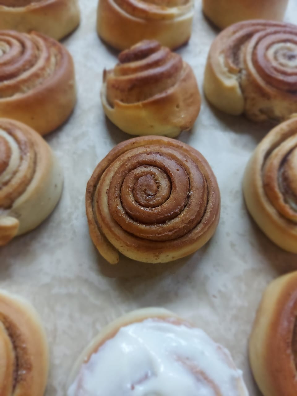 Cinnamon Rolls